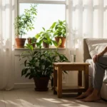 15 Morning Routine Habits of High Performers.webp