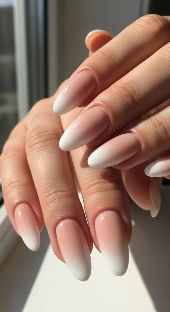 Neutral Ombre Fade.webp