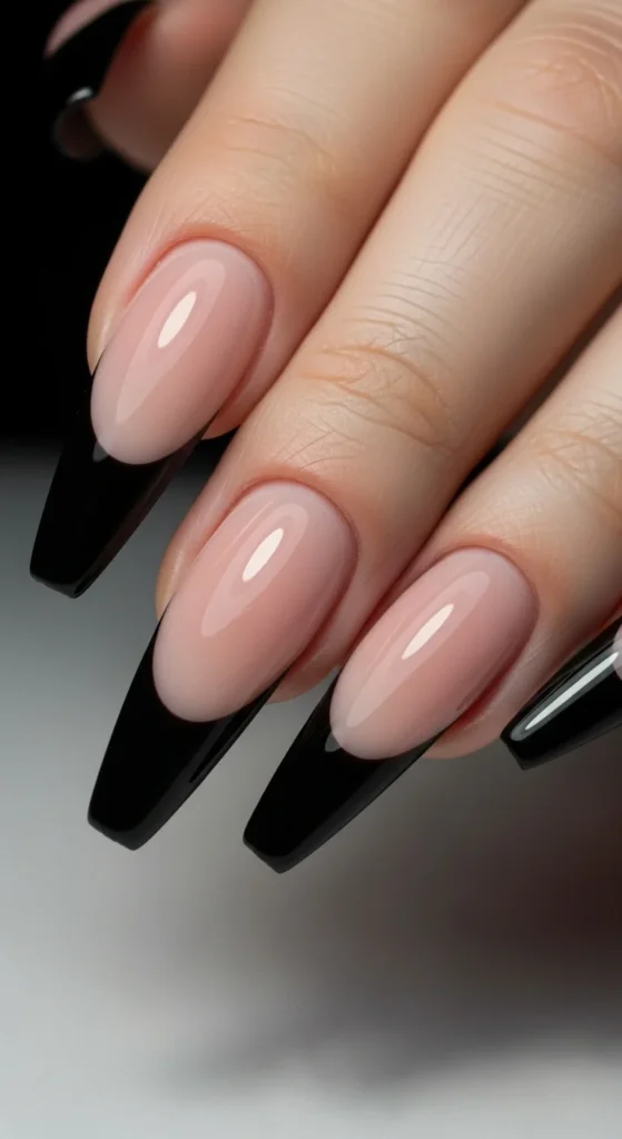 21. Black Tip Bold French.webp