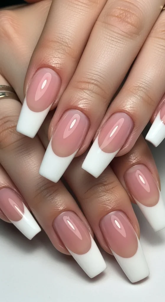 7. V-Tip Graphic French.webp